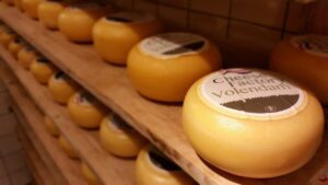 volendam cheese factory